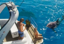 GTA 6 Squalo Bild 31 GTA 6 NewsTag