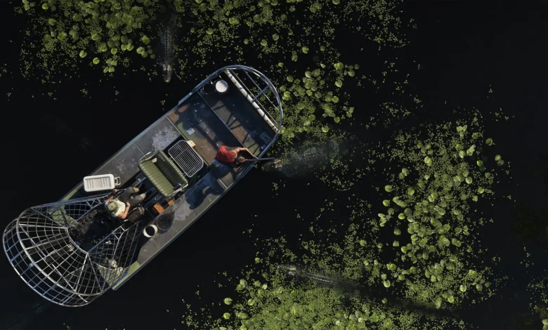 GTA 6 Trailer 2 Grassrivers 3