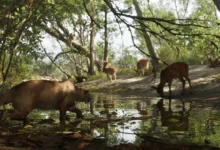 GTA 6 Trailer 2 Mount Kalaga Nationalpark 5